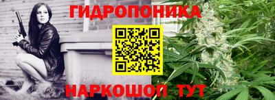 ешки Дубна