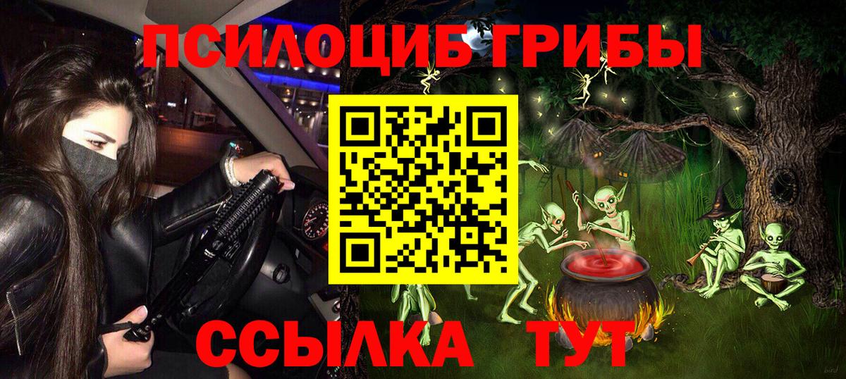 Галлюциногенные грибы Psilocybe Малоярославец